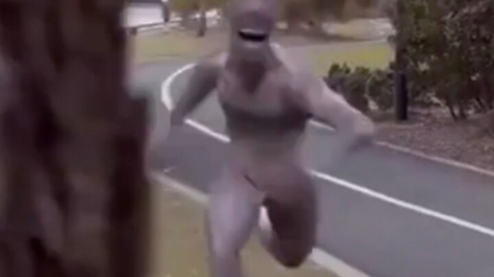 Come play with me! Haha!