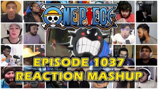 ONE PIECE EPISODE 1037 REACTION MASHUP