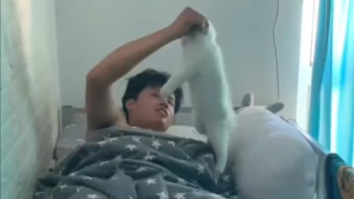 เมื่อแมวปรากฏตัวในหอพัก