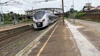 LOTS OF TRAIN ACTION AND HORNS! Extremely fast trains and horns in Colmar and Staffelfelden, France
