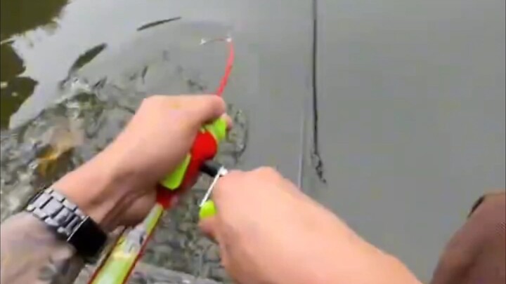 Con gái bắt bố dùng que phô mai để câu cá #hài hước# #thật không ngờ#
