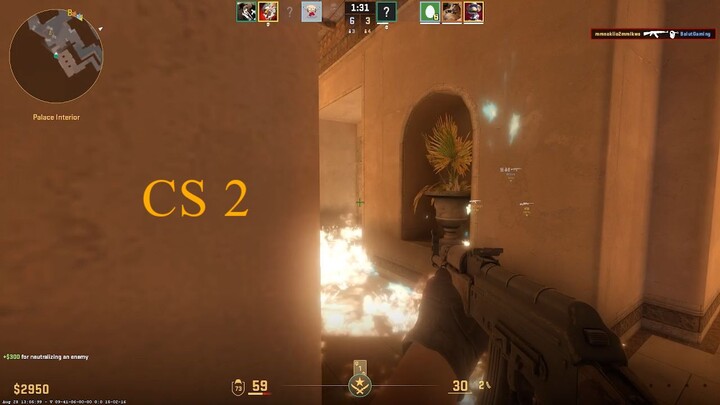 CS 2 RANKS
