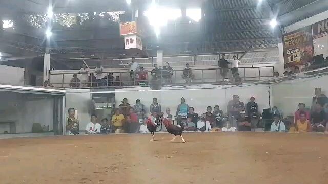 panalo sa hack fight  mga reject ko