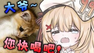 猫不喝水怎么办
