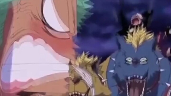 zoro marah ke shanks
