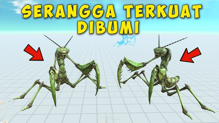 PERTARUNGAN BARBAR SERANGGA TERKUAT DIBUMI - ANIMAL REVOLT BATTLE SIMULATOR