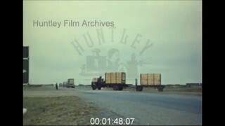 Rhinos Captured and Shipped to a Zoo, 1970s - Archive Film 1083498