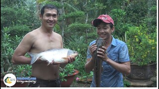 Cái Giá Phải Trả Khi Ăn CÁ CHIM | Hội Ngộ Miền Tây - Tập 222