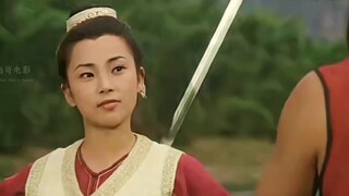 武当派掌门想要儿子继承自己的武当剑法，可惜生的全是女儿。