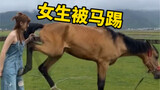 马其实是一种挺危险的动物，靠近马很容易被马踢的
