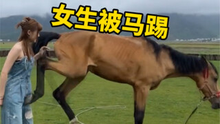 马其实是一种挺危险的动物，靠近马很容易被马踢的