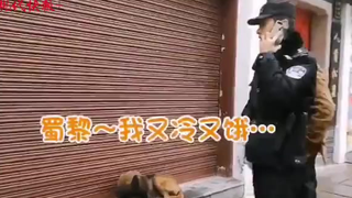 流浪犬被警方相中，逆袭成警犬！