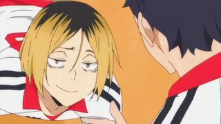 【Haikyuu!】Konon katanya ini adalah kucing sapi