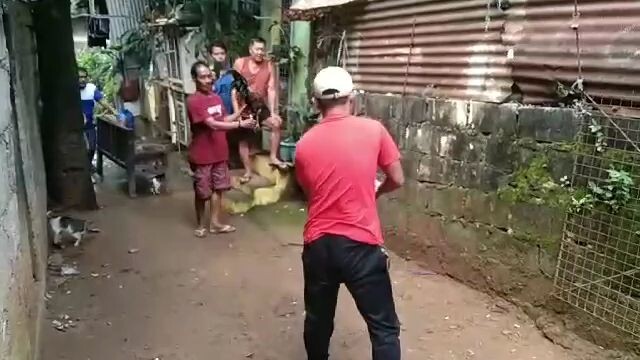 dayo lang namen 7month namen subok lang✌️