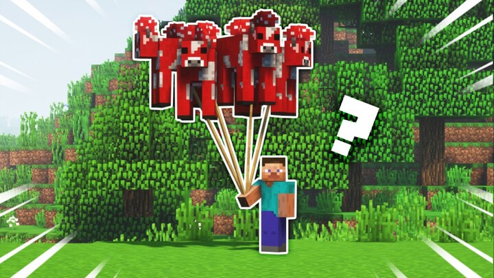 ผู้เล่น: ผู้ดูแล! คุณบินได้แล้ววว!!! 🎈??