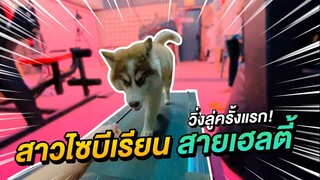 สาวไซบีเรียน สายเฮลตี้ วิ่งลู่ครั้งแรก!