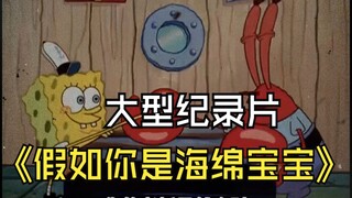 大型纪录片《假如你是海绵宝宝》