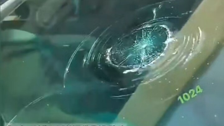 Girl: I’m all about taking advice—smash it if you say smash it...