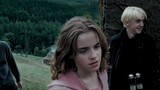 Ai cũng biết rằng cú đấm của Hermione có phần hơi cá nhân.