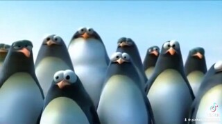 สามัคคีคือพลัง