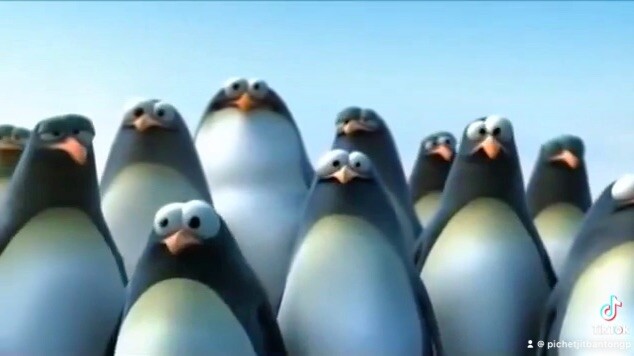 สามัคคีคือพลัง