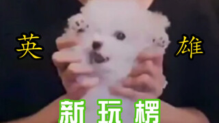 做梦也没想到有天会看到Daegal举着小爪爪跳《英雄》