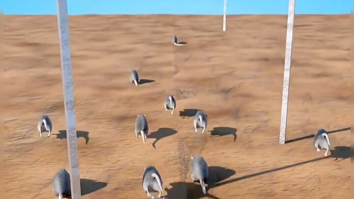 Nguyên lý hoạt động của thiết bị nổ hầm sóc ở nước ngoài.