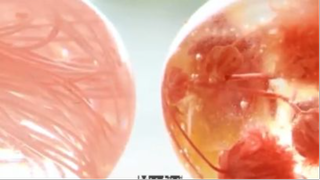 nhà của bạn p2 #mytivi