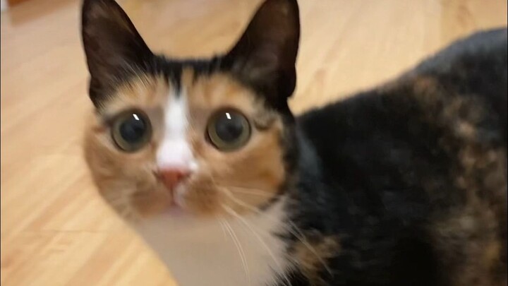 I'm really not bragging here~