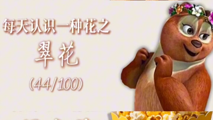 كما هو متوقّع، السحر الشيطاني فعّال حقًا! يبدو أن المدوّن قد رضخ، لكن الحقيقة أنه نفد حيله.