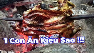 VÀO RỪNG KIẾM ĂN MÙA MƯA | T6 Cuối - Món Ngon trong rừng & ngày trở về gian nan