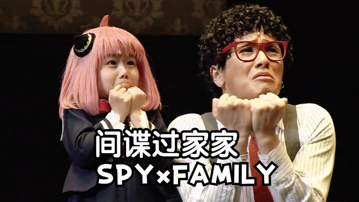 [Self-cooked] Puffy Head assists the celebration party "SPYxFAMILY" musical CUT｜Izawa Miharu version