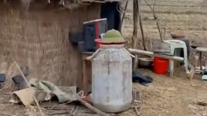 Này, đứng dậy nào