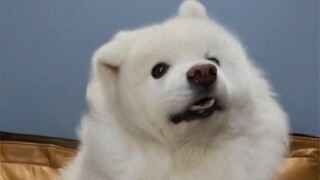 I've only watched this video about 100 times.