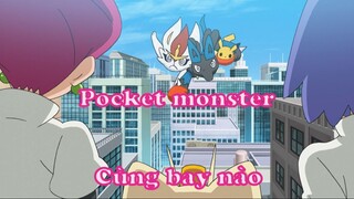 Pocket monster 48 - Cùng bay nào