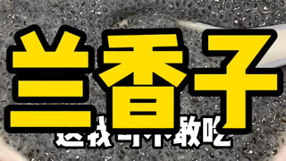 【Greedy Squirtle】The latest video is now available—please follow!