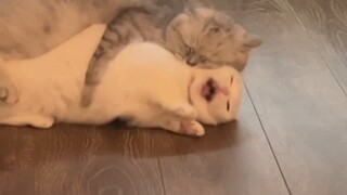 How could you escape from my palm?