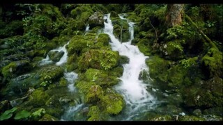 Top 100 Christian Gospel Songs Praise and Worship Songs 2025 Best Morning Worshi