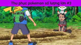 Thu phục pokemon số lượng lớn p3