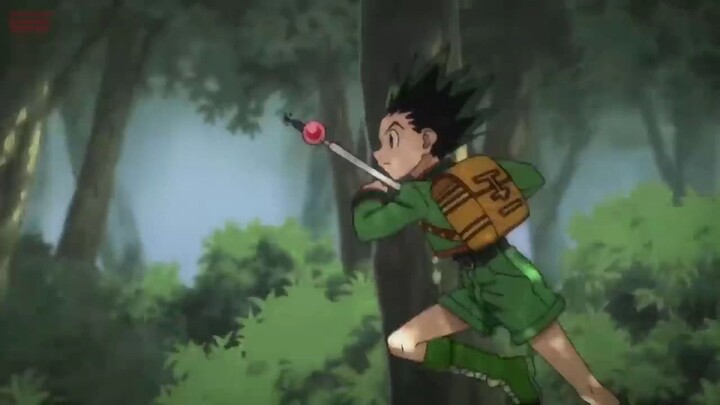 Gon Freecss (Hunter x Hunter) - Tiêu Điểm Nhân Vật p4