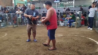 1st Fight Win (Angel)