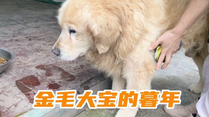 หลายคนเลี้ยงหมาแค่ตัวเดียวในชีวิต เพราะชีวิตของพวกเขาผูกพันกับหมาเพียงตัวเดียว