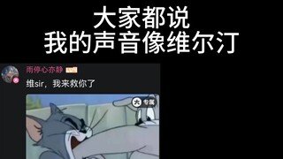 当我拥有维尔汀99%的声线……