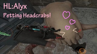 (เกม Half-Life: Alyx) เข้ามาลูบหัวเจ้า Headcrab กัน 