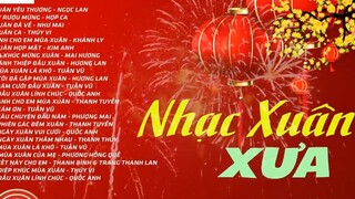 Nhạc Xuân Hải Ngoại Hay NGỌC LAN TUẤN VŨ NHƯ MAI LK Nhạc Xuân Xưa_ 23