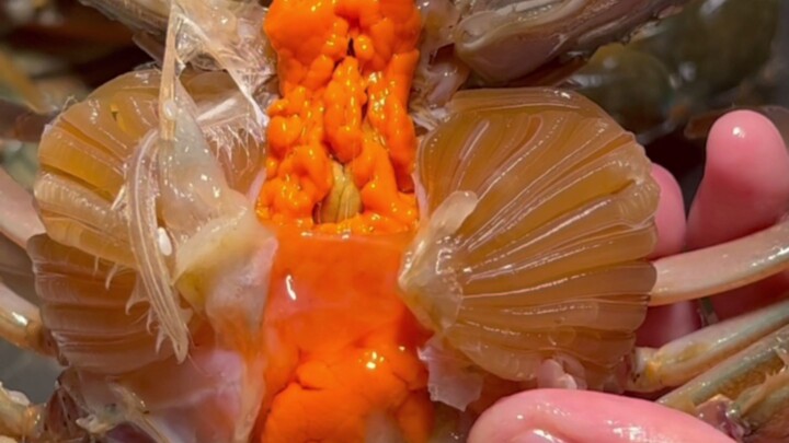 Thailand’s crab roe season is in full swing—those creamy, buttery crab roe are just next-level delic