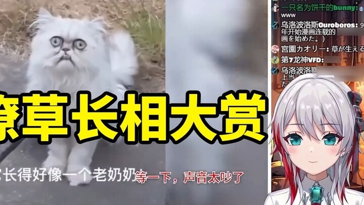 Adik perempuan Jepang alami melihat "Penghargaan Penampilan Hewan yang Ceroboh"