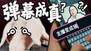 一期不能随便发弹幕的视频？！
