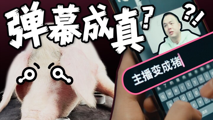 一期不能随便发弹幕的视频？！