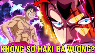 TỪNG ĐỨNG VỮNG TRƯỚC HAKI BÁ VƯƠNG! | NHỮNG KẺ KHÔNG SỢ HAKI BÁ VƯƠNG TRONG ONE PIECE